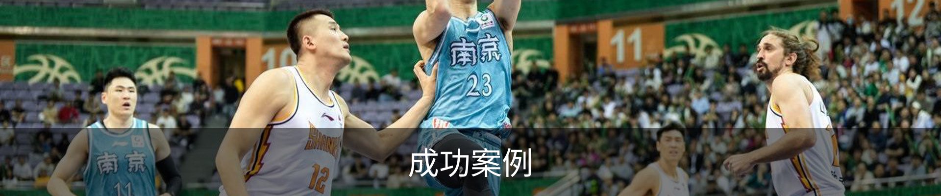 成功案例